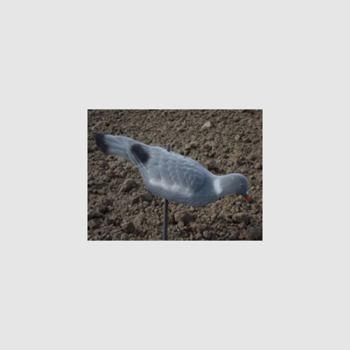 LOCKTAUBE demi-coquille recouvert de feutre avec piquet de terre