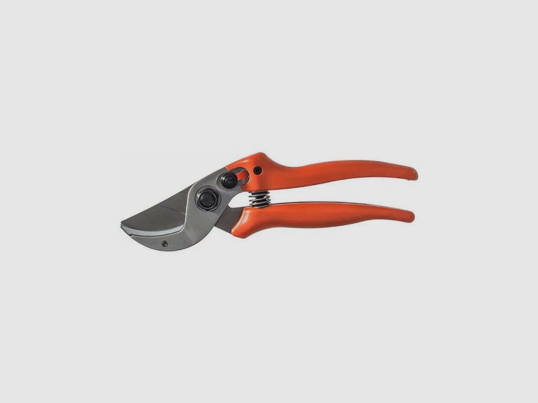 Lion hunting scissors Easy Clean