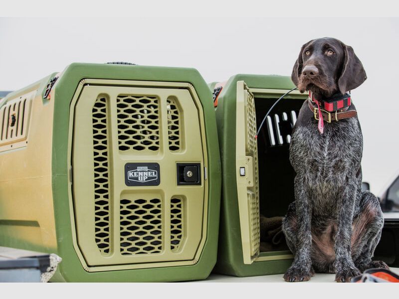 Kennel Up Chenil pour chien Intermediate, Box, image 4 sur 8