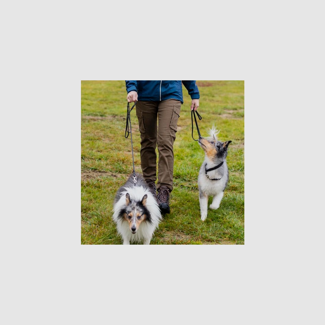 Pinewood Serengeti Damen Hose hellolive