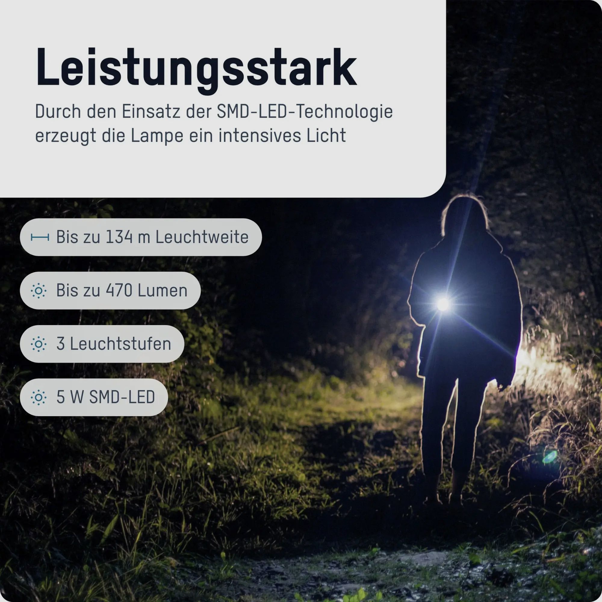 Ansmann Taschenlampe TA500BF