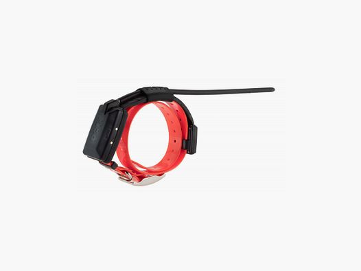 Collier supplémentaire DOGTRACE X20 noir