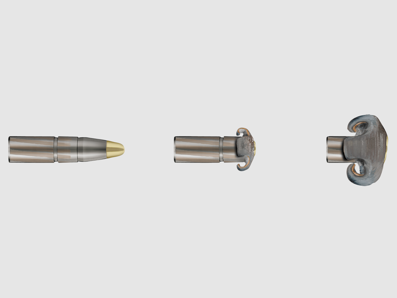 RWS .300 Win. Mag. EVOLUTION 11,9g/184gr, Bild 4 von 4