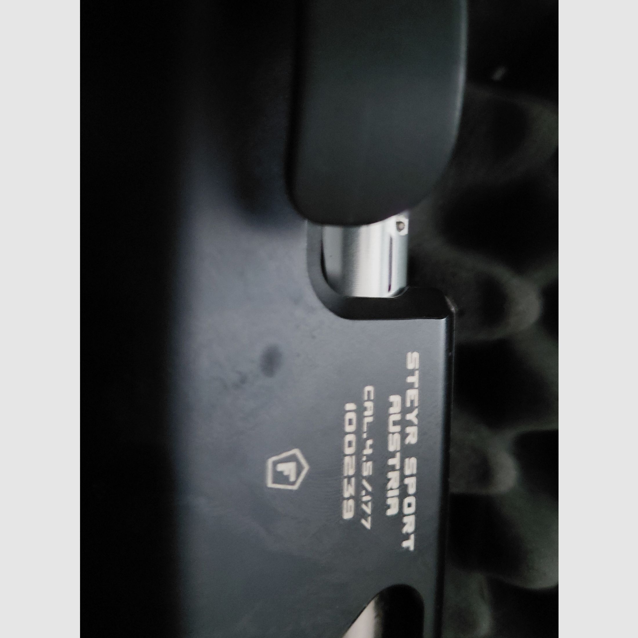 Steyer Challenge Sport LG