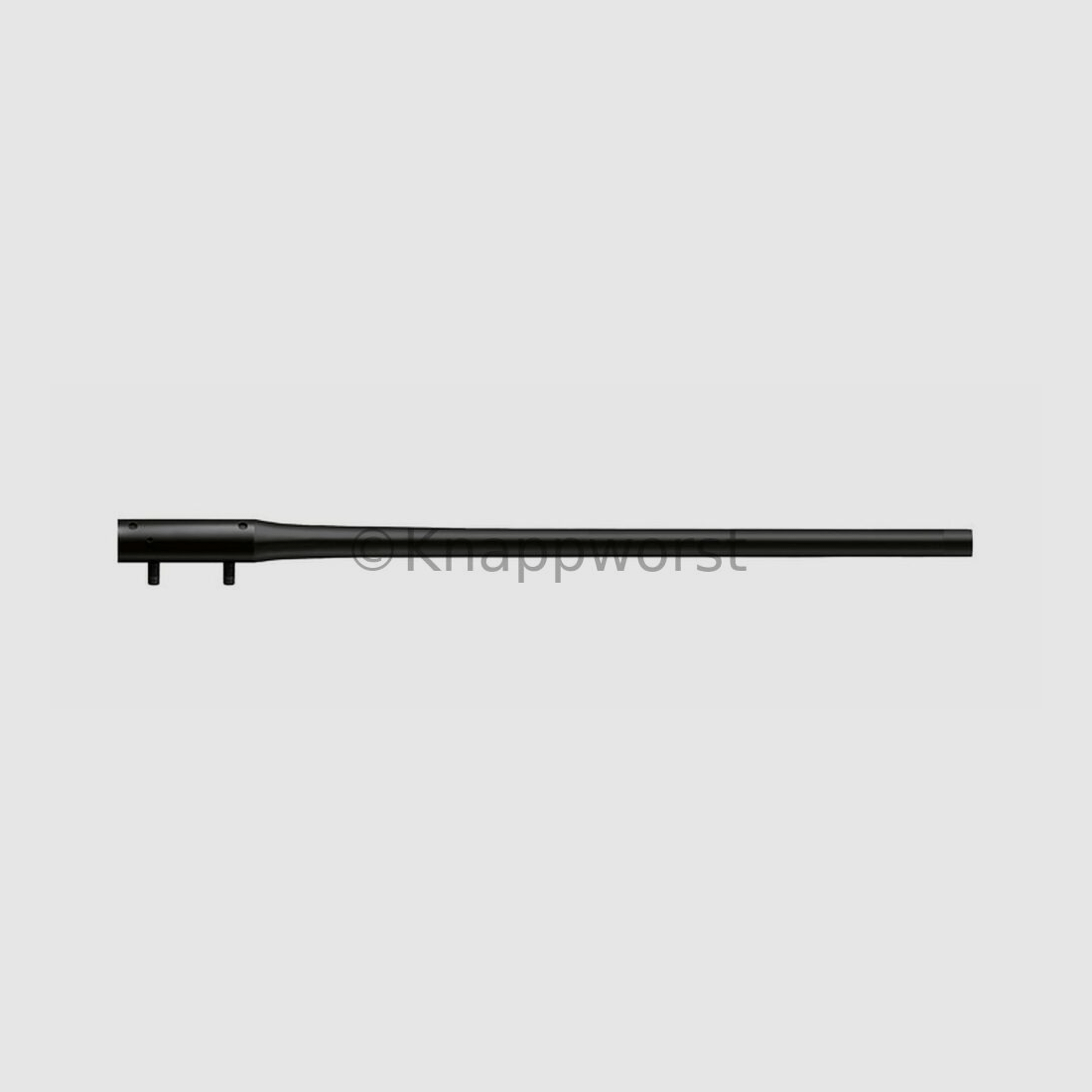 Blaser-Waffen Lauf Blaser R8