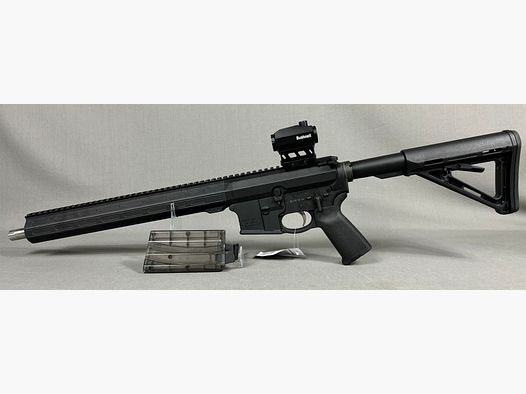 SAVAGE MSR 15 Recon 2.0 / Bushnell 1-6x24 mit Nordic WS / Bushnell 125 TRS 