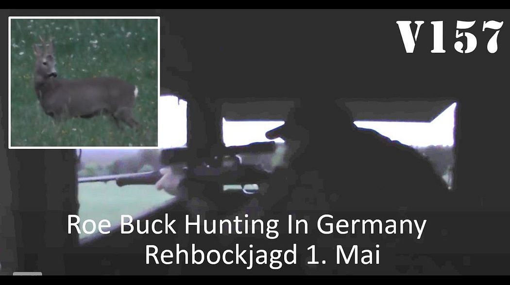 Hunting Roe Bucks In Germany (Rehbockjagd 1. Mai) V157