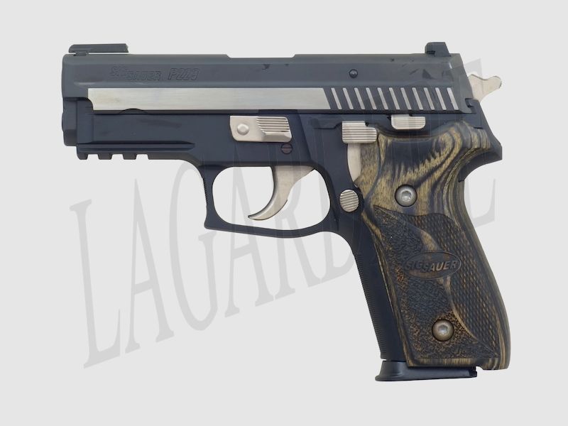 SIG-SAUER P229 EQUINOX (PISTOLA)