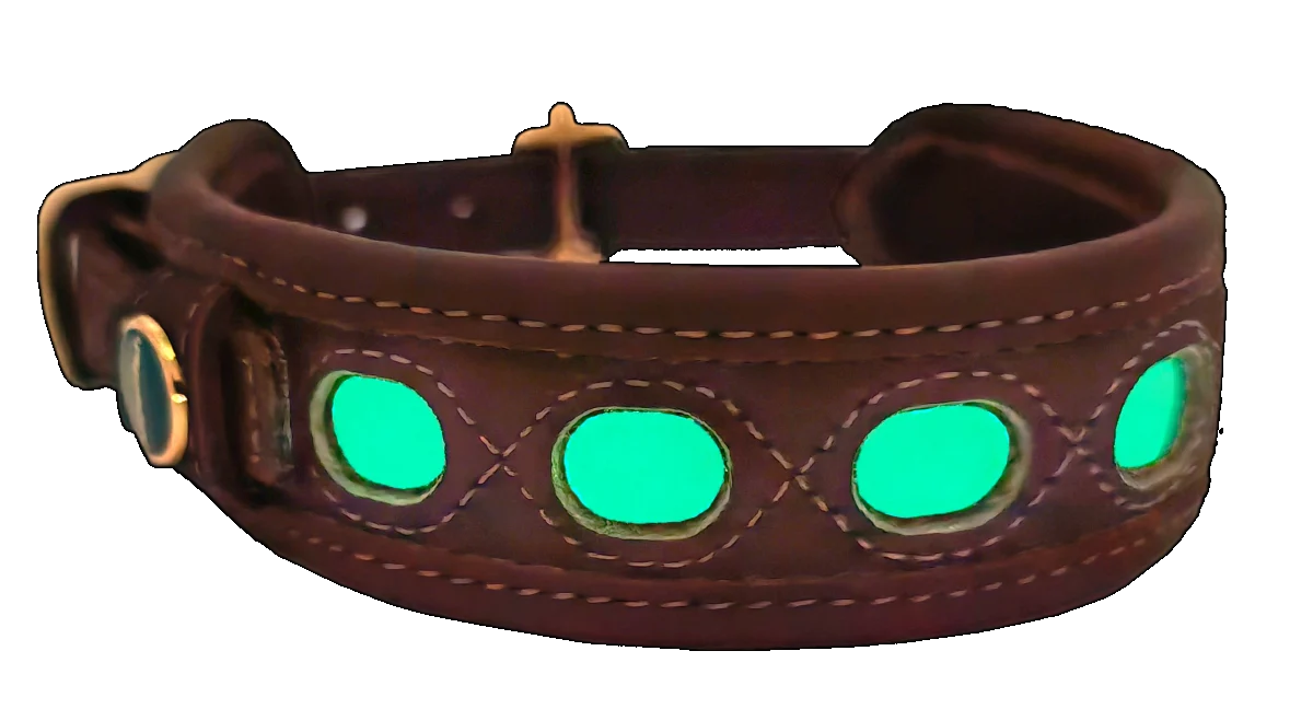 Obroża skóra fluorescencyjna rozm.XS (30-40cm) Niggeloh