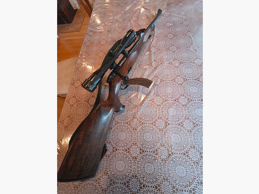 Steyr Mannlicher SL .222Rem