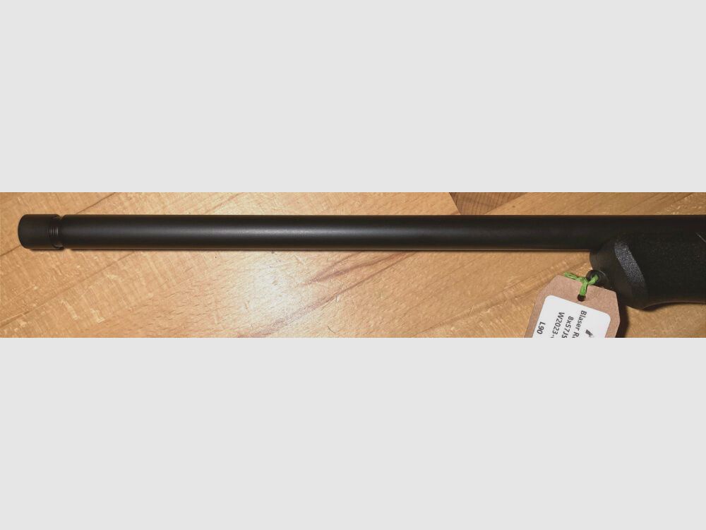 Blaser R8 Professional Success