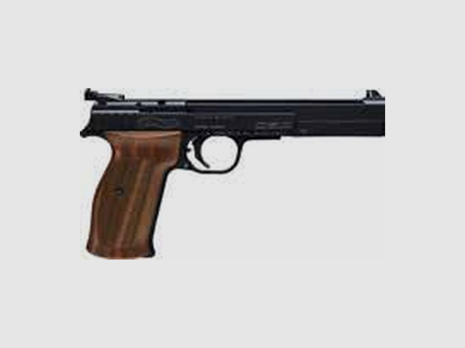 Walther Picatinny-Schiene für X-Esse IPSC / CSP