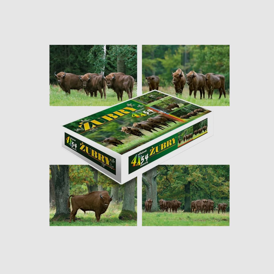 PUZZLE - ŻUBRY 4X54