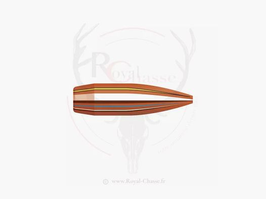 100 ogives Cal.22 D.224 68Grs BTHP MATCH HORNADY