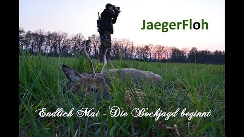 Endlich Mai - Die Bockjagd beginnt / Early Season Roebuck Hunt 2016