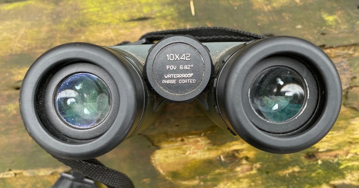 Delta Forest II Fernglas 10x42, Grün – Wasserdicht Für Jagd & Natur | Bak4 Linsen, 2 M Nahfokus