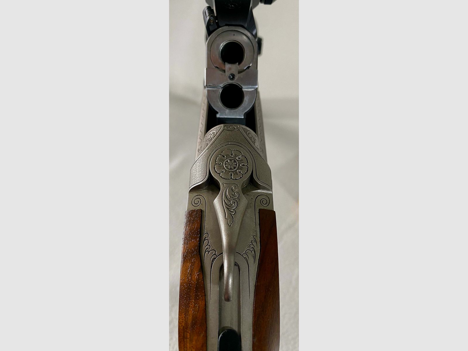 Blaser BBF95 Luxus avec canon interchangeable