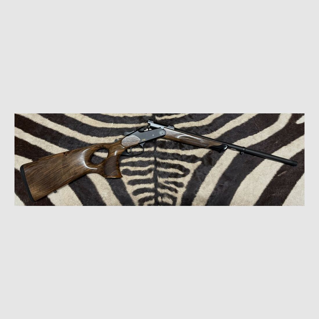 Blaser K95 Success