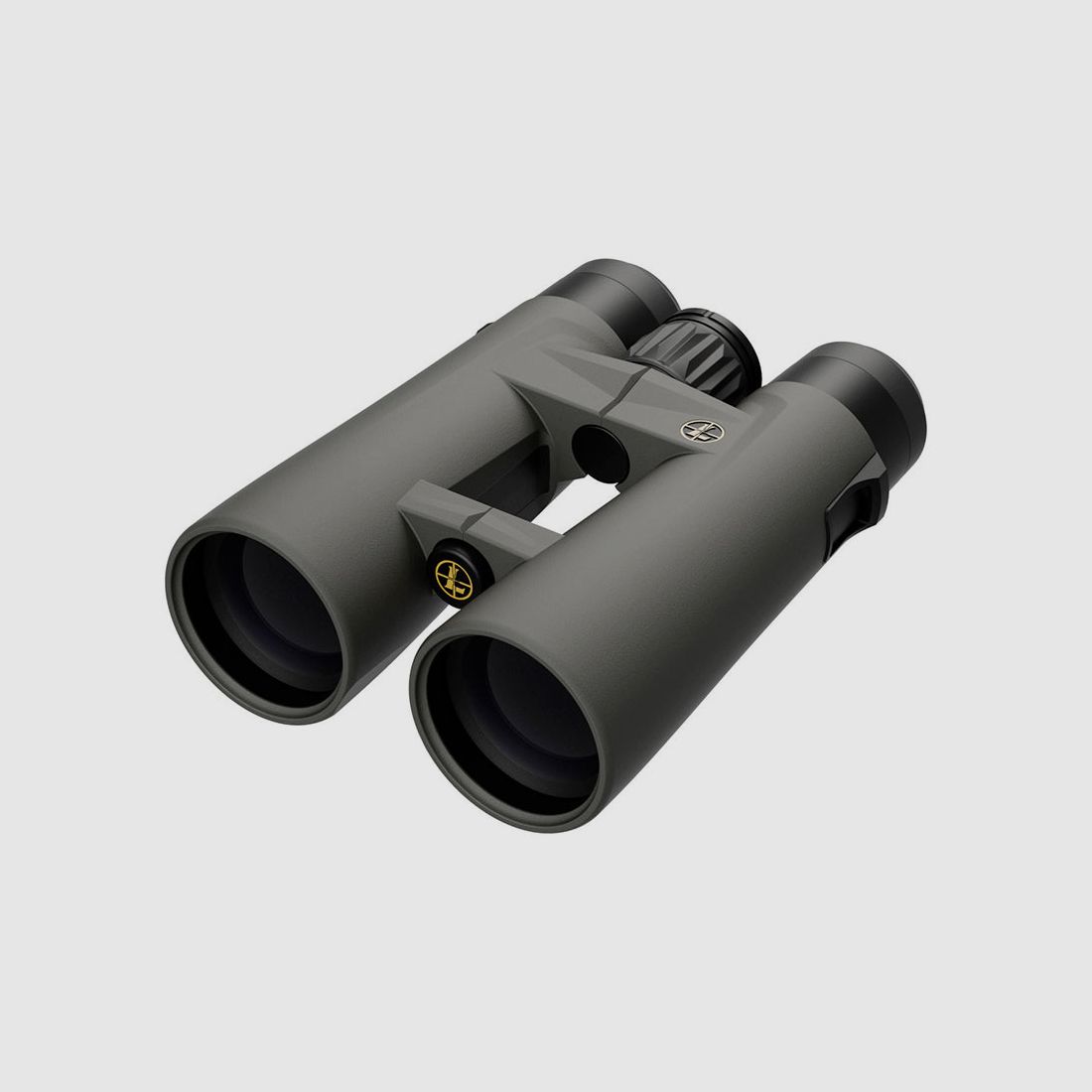LEUPOLD BX-4 PRO GUIDE HD GEN 2 jumelles, image 1 sur 8