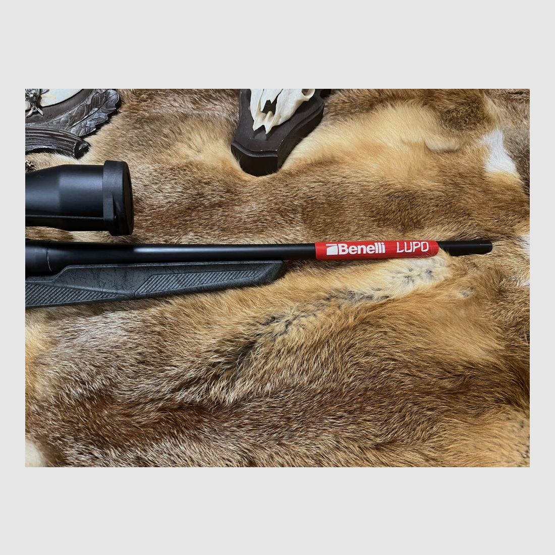 Benelli Lupo Granite Moos