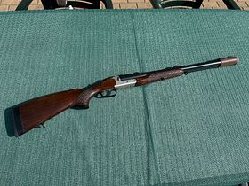 Blaser D99 