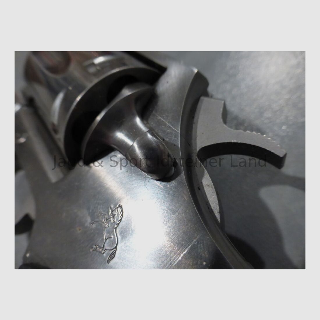 Colt Detective Special II