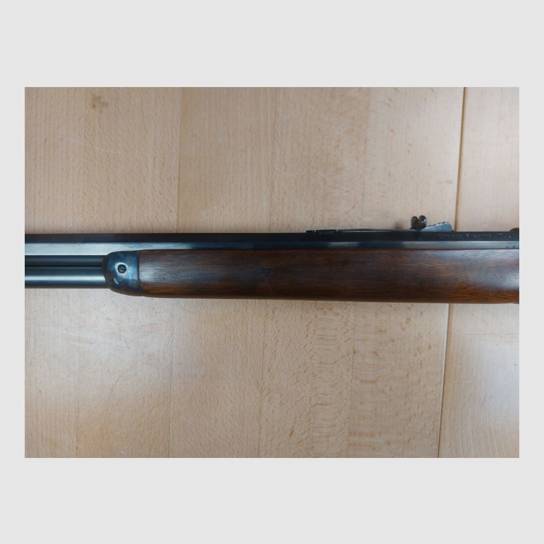 Chiappa M 1892