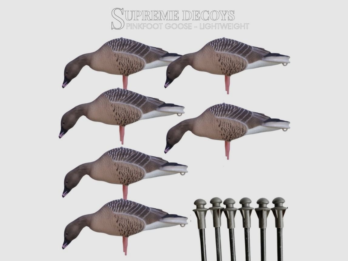 DK WAI Supreme Lightweight – Ánsar común (set con 4× señuelos de ganso alimentándose y 2× señuelos de ganso vigilando, incluye bolsa para señuelos), imagen 3 de 6