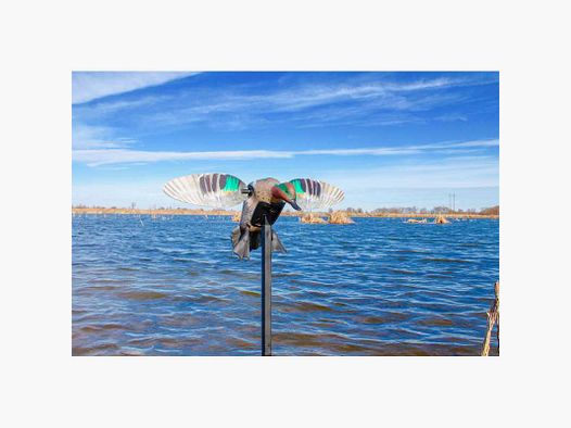 Alzavola ad ali rotanti Mojo Outdoors ES Green Wing Teal