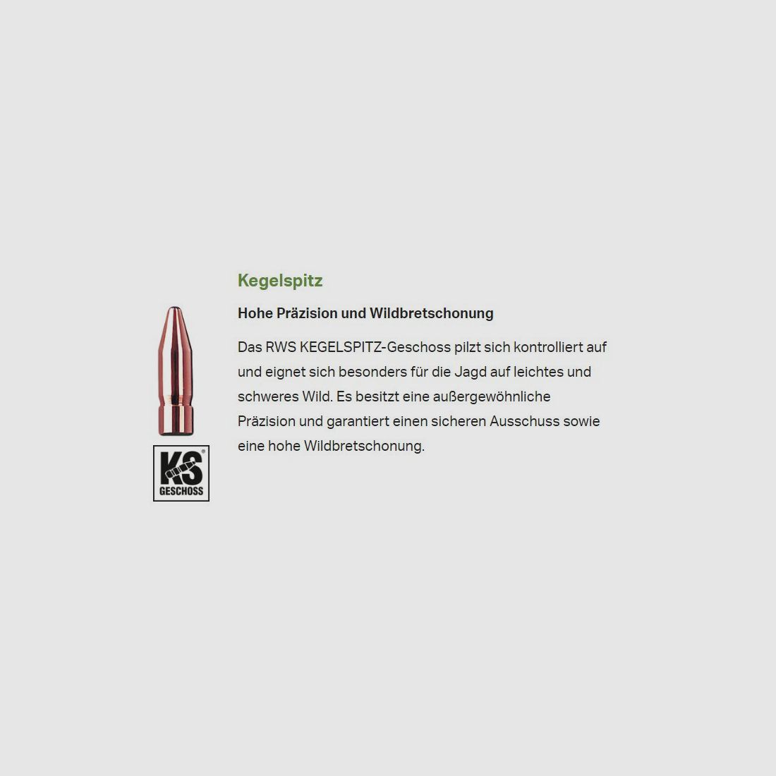 RWS Kugelpatronen .30-06 KS 20 Stk 9,7g/150grs