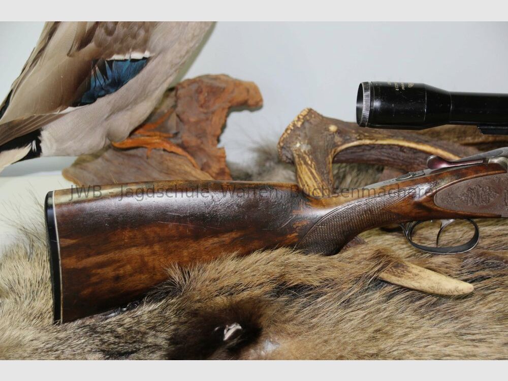 Antonio Zoli mit langen Seitenplatten - Frauenwaffe mit Schaftlänge 34 cm 7x57R; 16/70