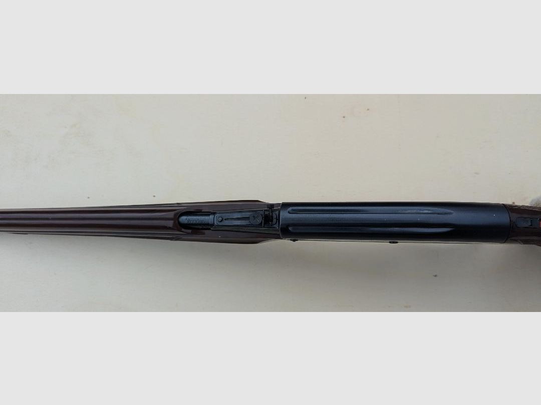 Nylon 76 Remington .22lr, carabina a leva inferiore, immagine 10 di 10