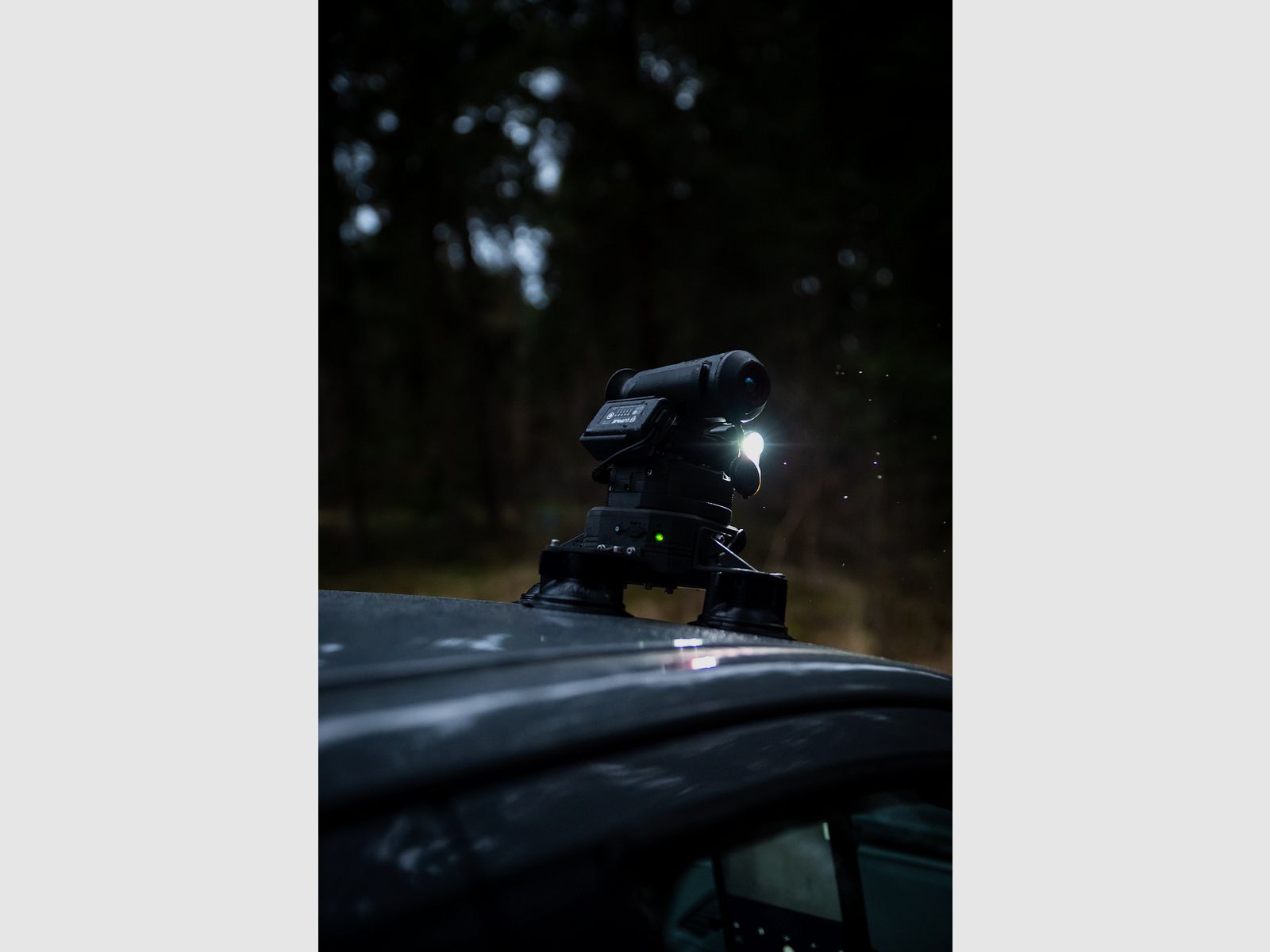 LUPINE ACCUHOUDER TCROW