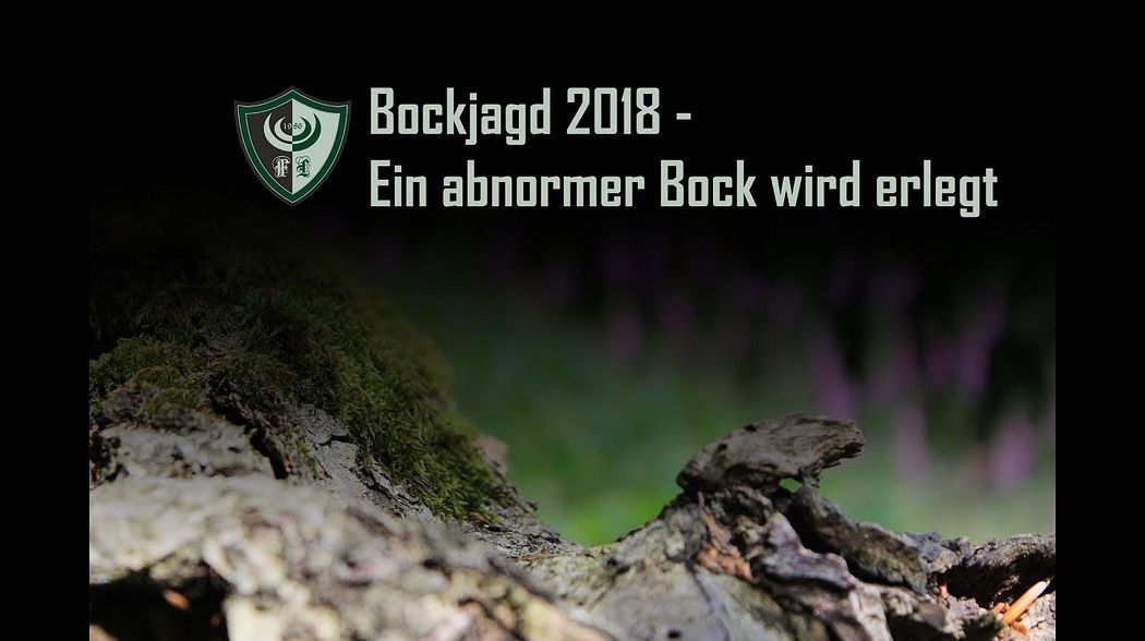 Bockjagd 2018 - Ein abnormer Bock wird erlegt.