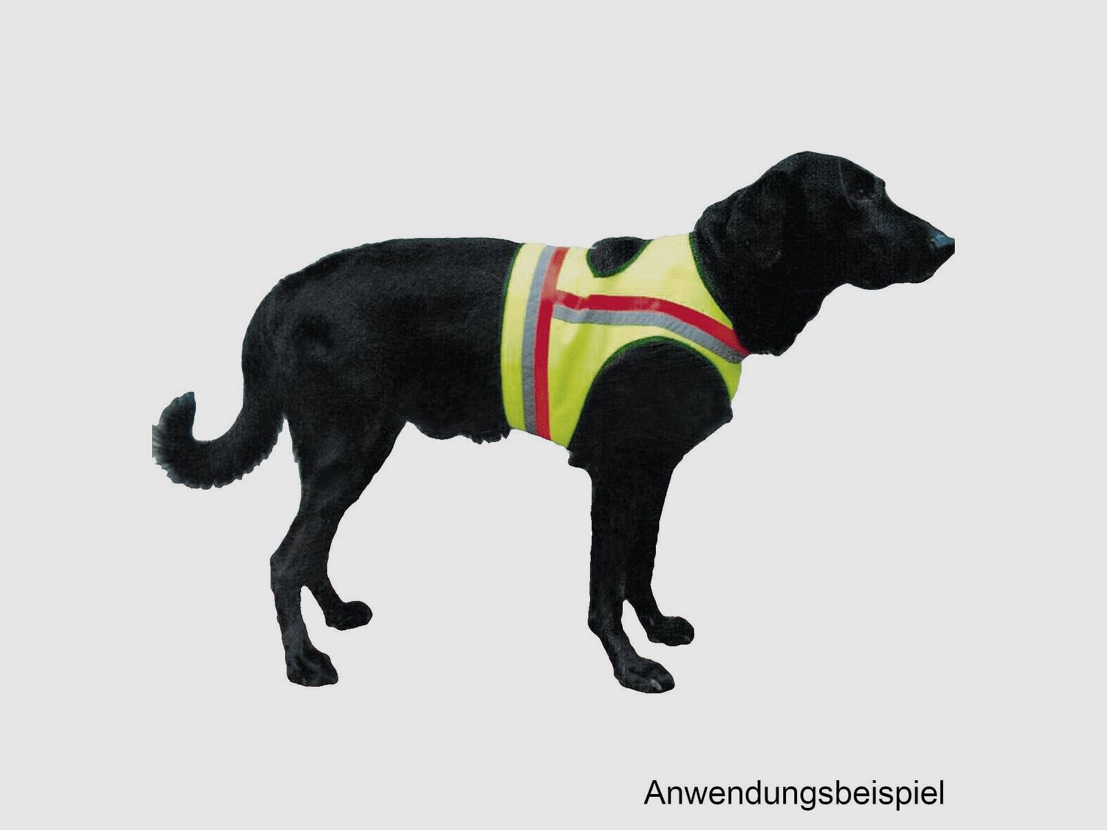 Hundewarnweste Gelb - M