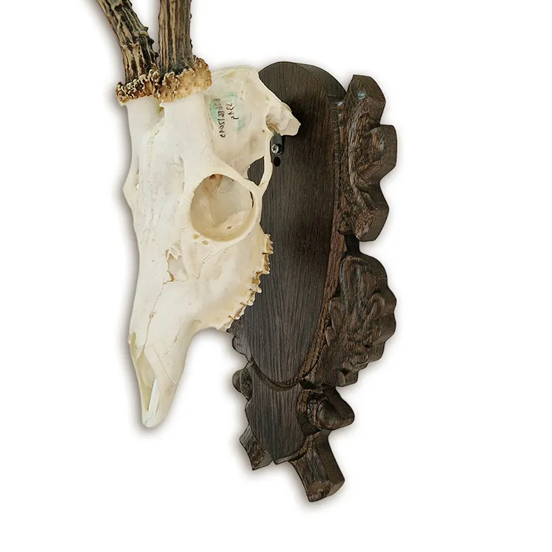 Noble Hunt Trophäenschild Reh/Gämse, Bild 7 von 9