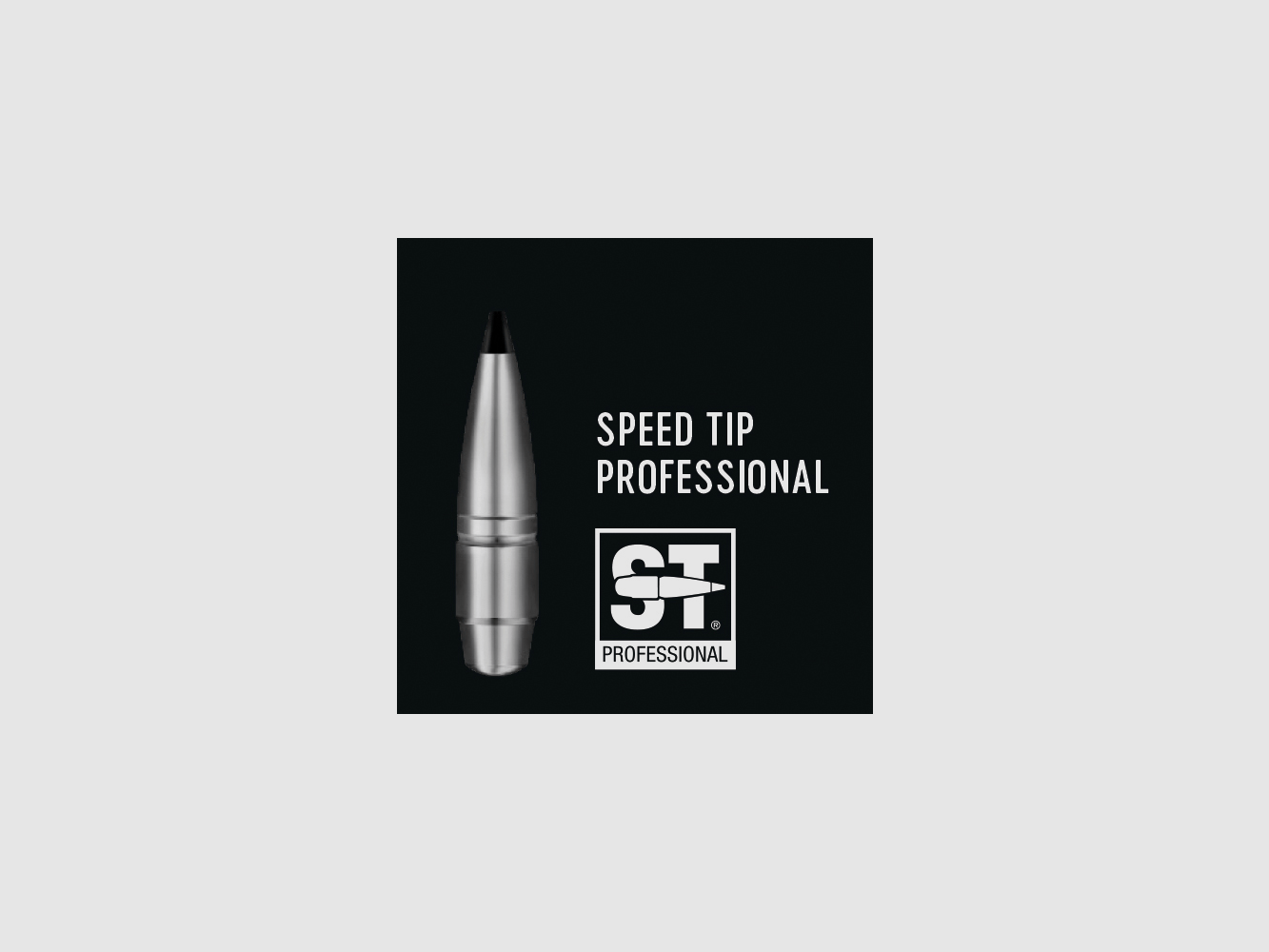 RWS Speed Tip Professional .308 Dia 10,7 g / 165 gr 50Stk