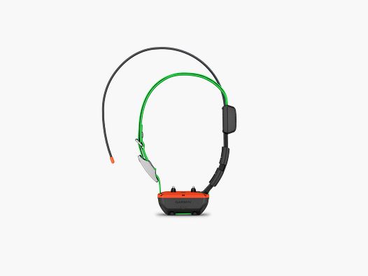 Collier de suivi et de dressage Garmin TT25F