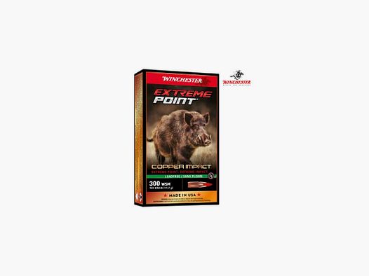 WINCHESTER PATRONEN 300WSM 180GR