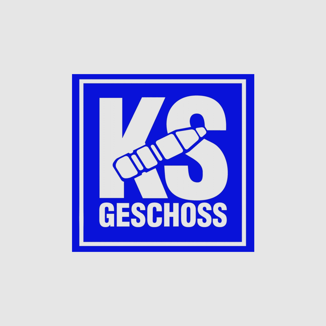 50 Stück NEUE RWS Geschosse - Kegelspitz (KS) 6,5mm/.264 - 8,2g/127gr (#2146460)