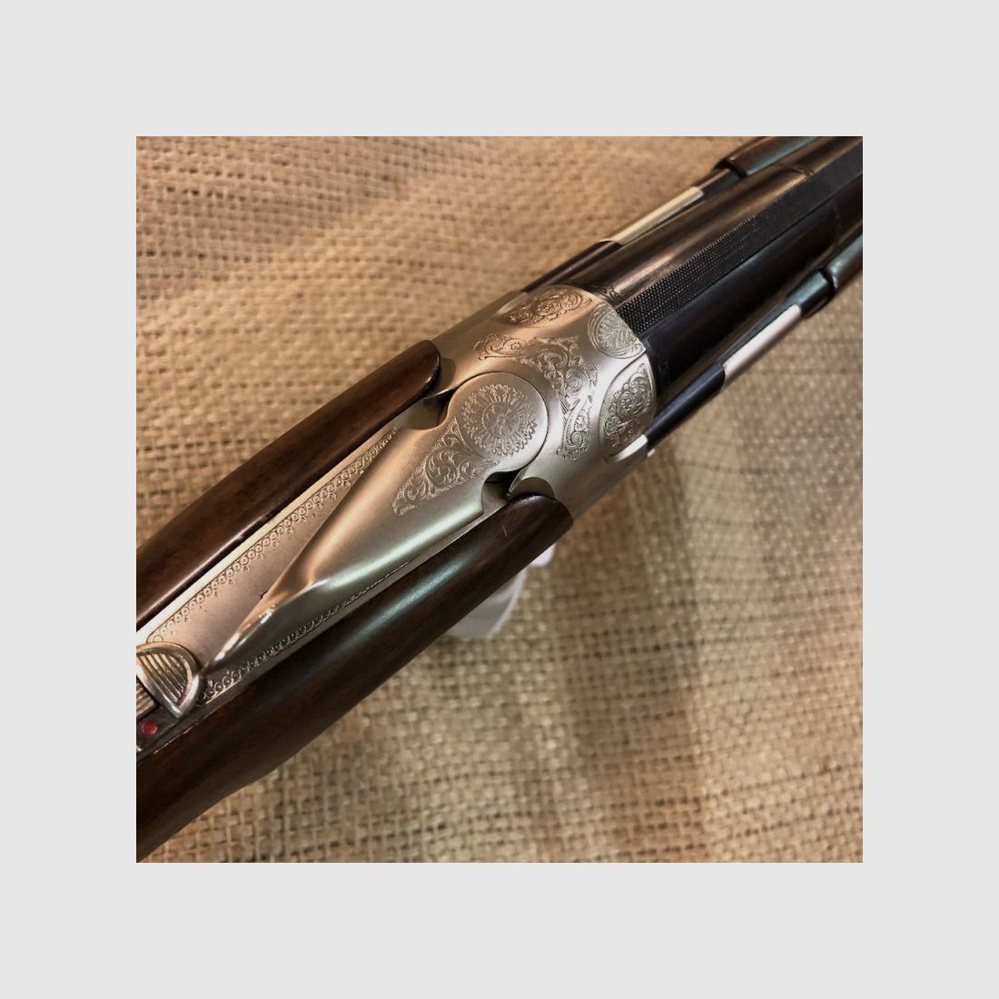 Brera Silver Pigeon, immagine 3 di 6