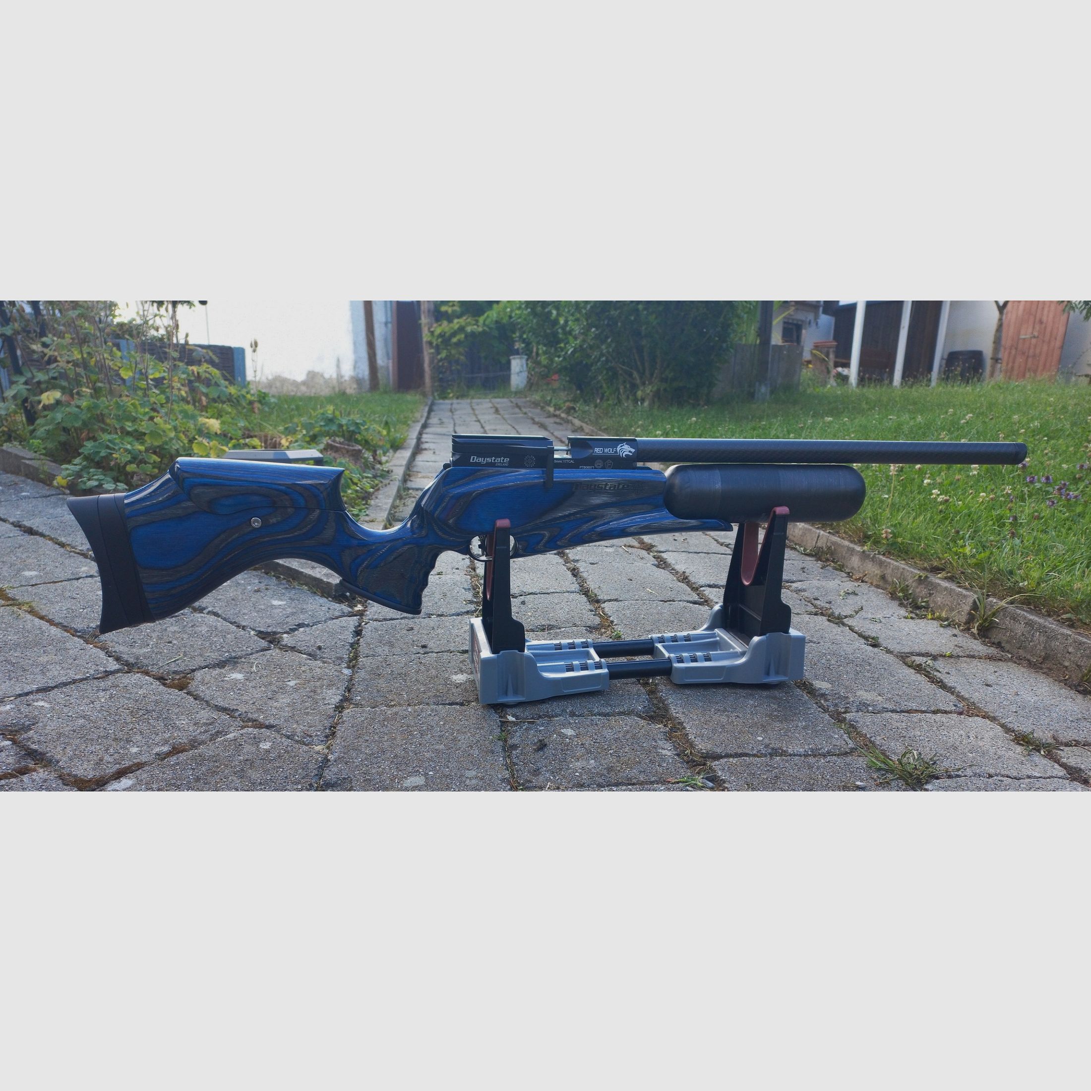 Daystate Red Wolf Blau (Midnight) Hi Lite (F-Version)