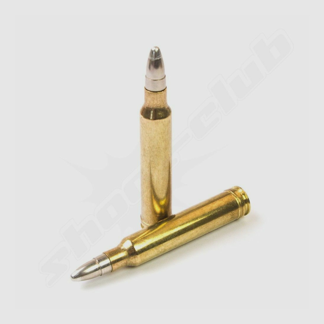 Brenneke .300 win mag TUG nature 8,5g