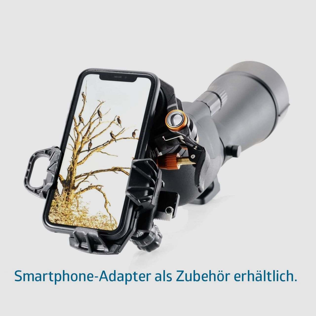 NS 20-60x80 ED inception | generalüberholt