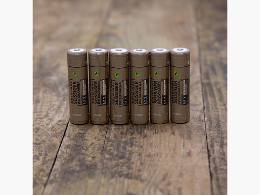 Seissiger lithium-ion batterij 18650 6x pakket