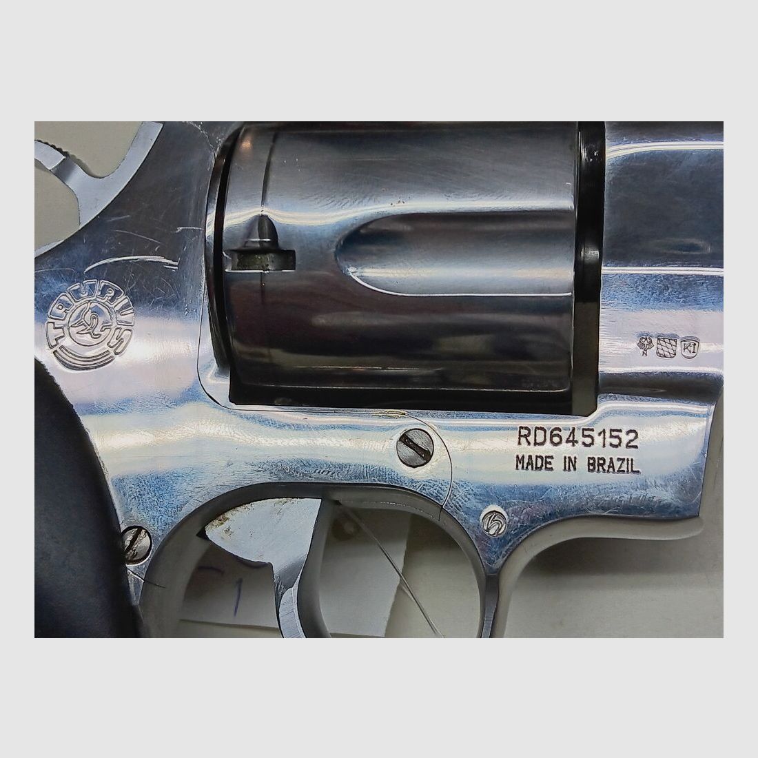 Taurus - Brazil Raging Bull