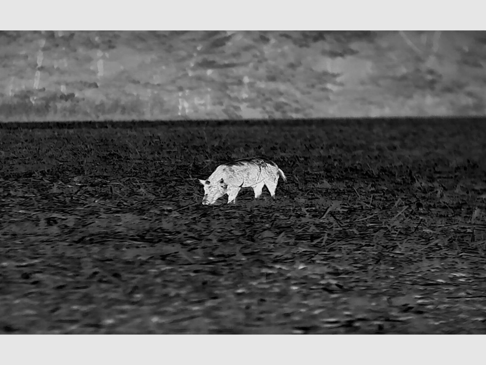 Infiray 447000258 Xeye CH50 V2 appareil de vision thermique