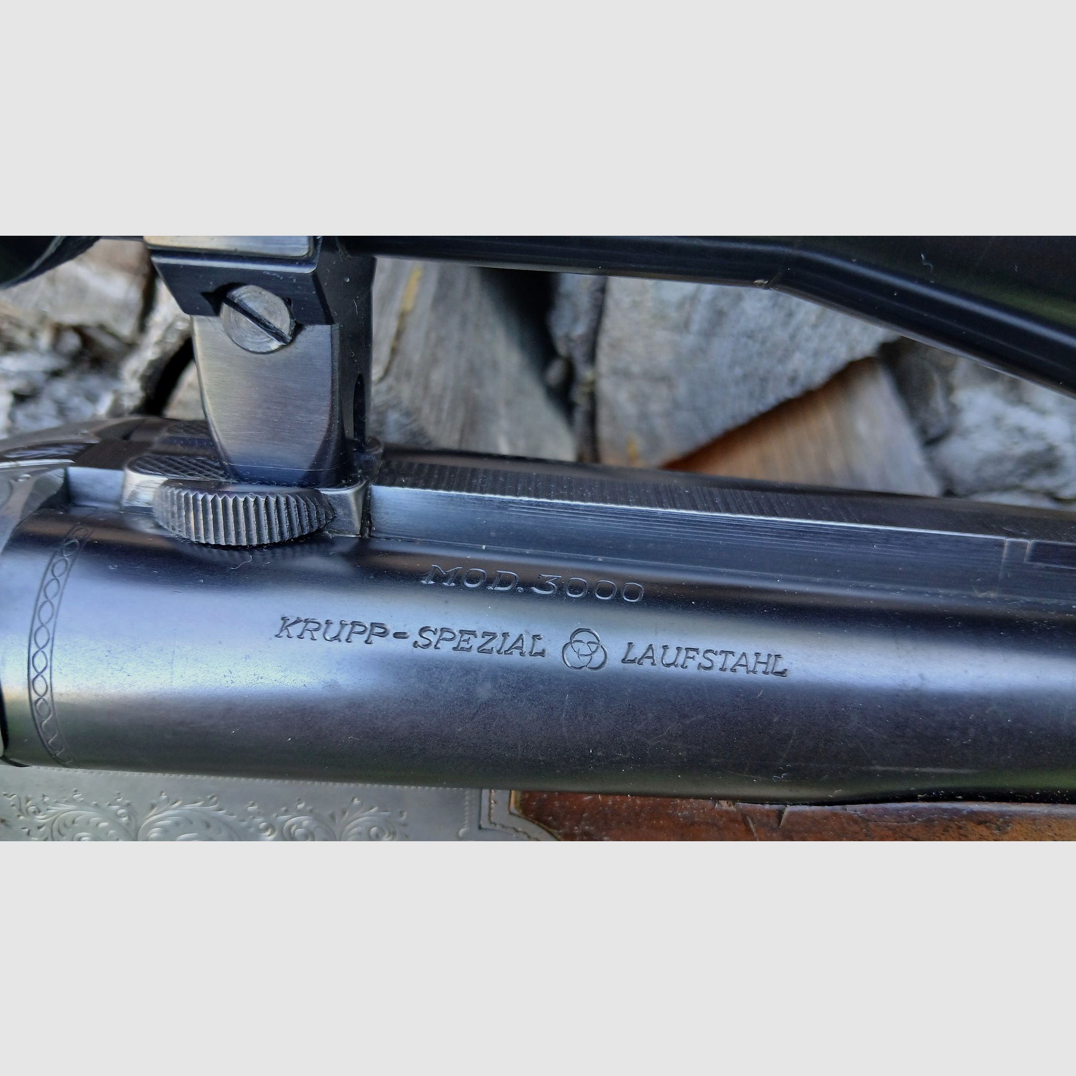 Sauer & Sohn Drilling 3000 mit Einstecklauf
