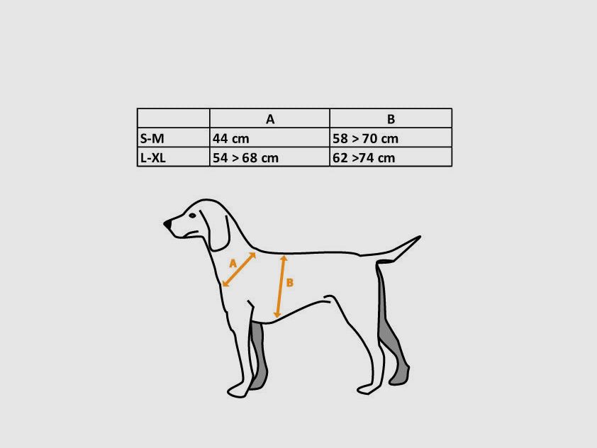 Sichtbare Hundejacke, Bild 2 von 2