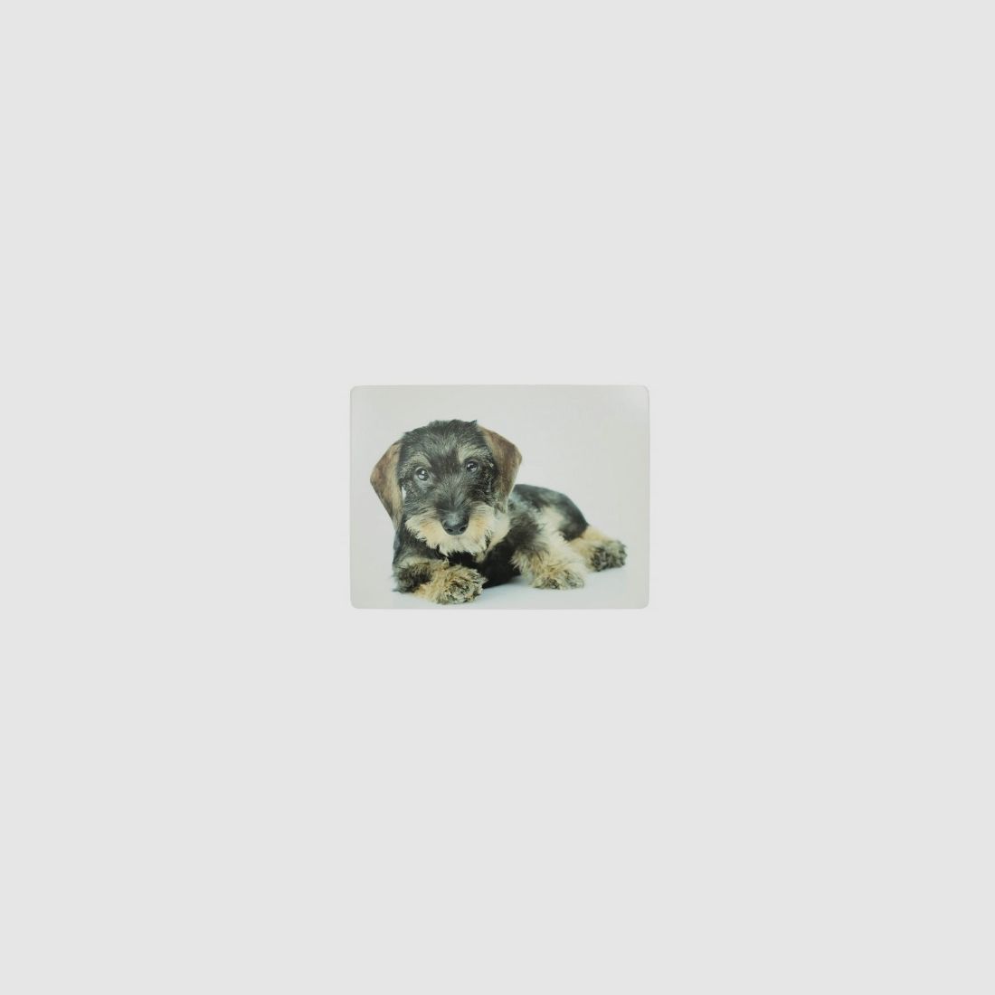 Lovergreen Kunst des Tisches Motiv Dackel-Tischset x 4